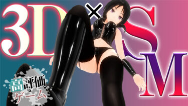 ３D×SMの高評価同人アダルトゲームがコレ！