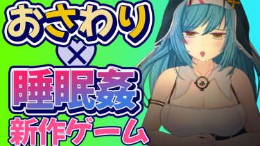【シスター好き必見！】海外産の新作おさわりゲームが予想の斜め上をいく出来だった件