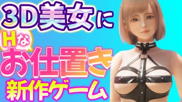 ポストILLUSION！？今話題の3ＤエロゲがドＳ向けの凄まじいゲームだった